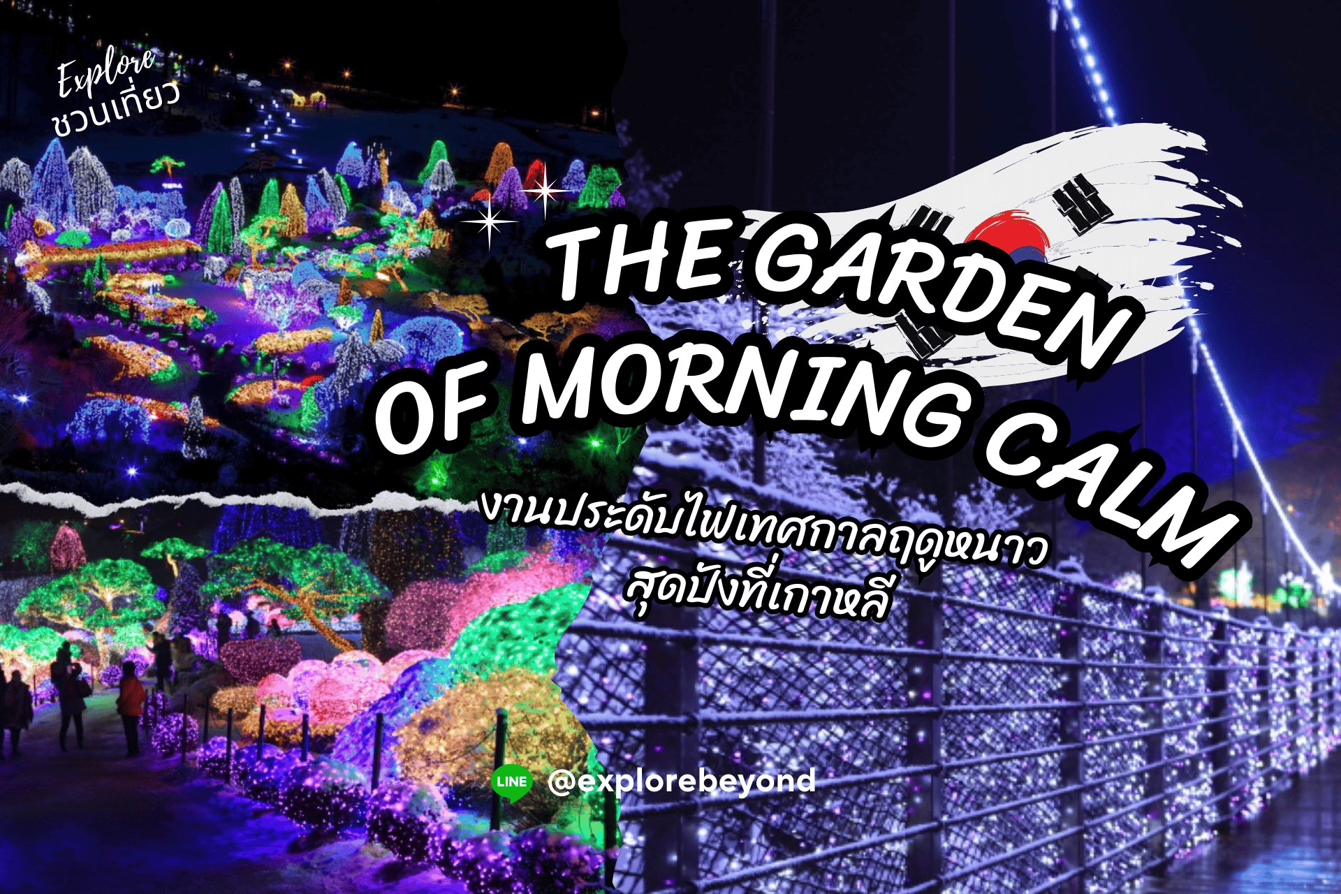 Lighting Festival at The Garden of Morning Calm (오색별빛정원전) งานประดับไฟเทศกาลฤดูหนาวสุดปังที่เกาหลี